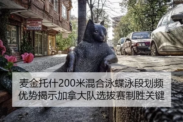 mai-jin-tuo-shen-mi-hun-he-yong-die-yong-duan-hua-pin-you-shi-jie-shi-jia-na-da-dui-xuan-ba-sai-zhi-sheng-guan-jian-2-512.jpg