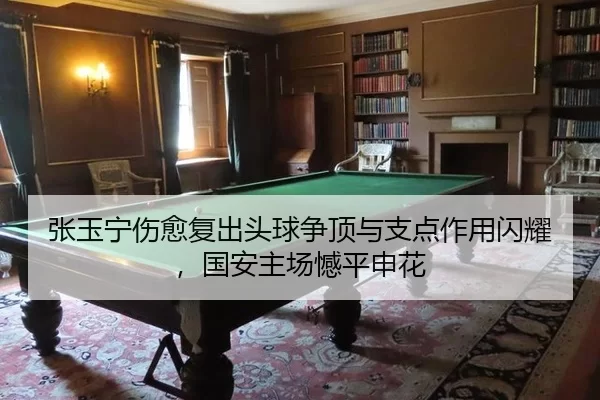 张玉宁伤愈复出头球争顶与支点作用闪耀，国安主场憾平申花