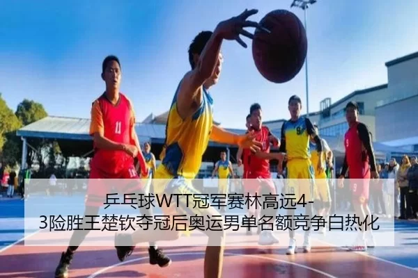 ping-pang-qiu-guan-jun-sai-lin-gao-yuan-xian-sheng-wang-chu-qin-duo-guan-hou-ao-yun-nan-dan-ming-e-jing-zheng-bai-re-hua-3-508.jpg